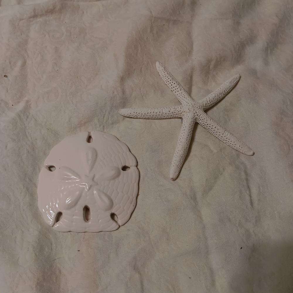 🧸White Sand Dollar and Starfish Decor Accents
